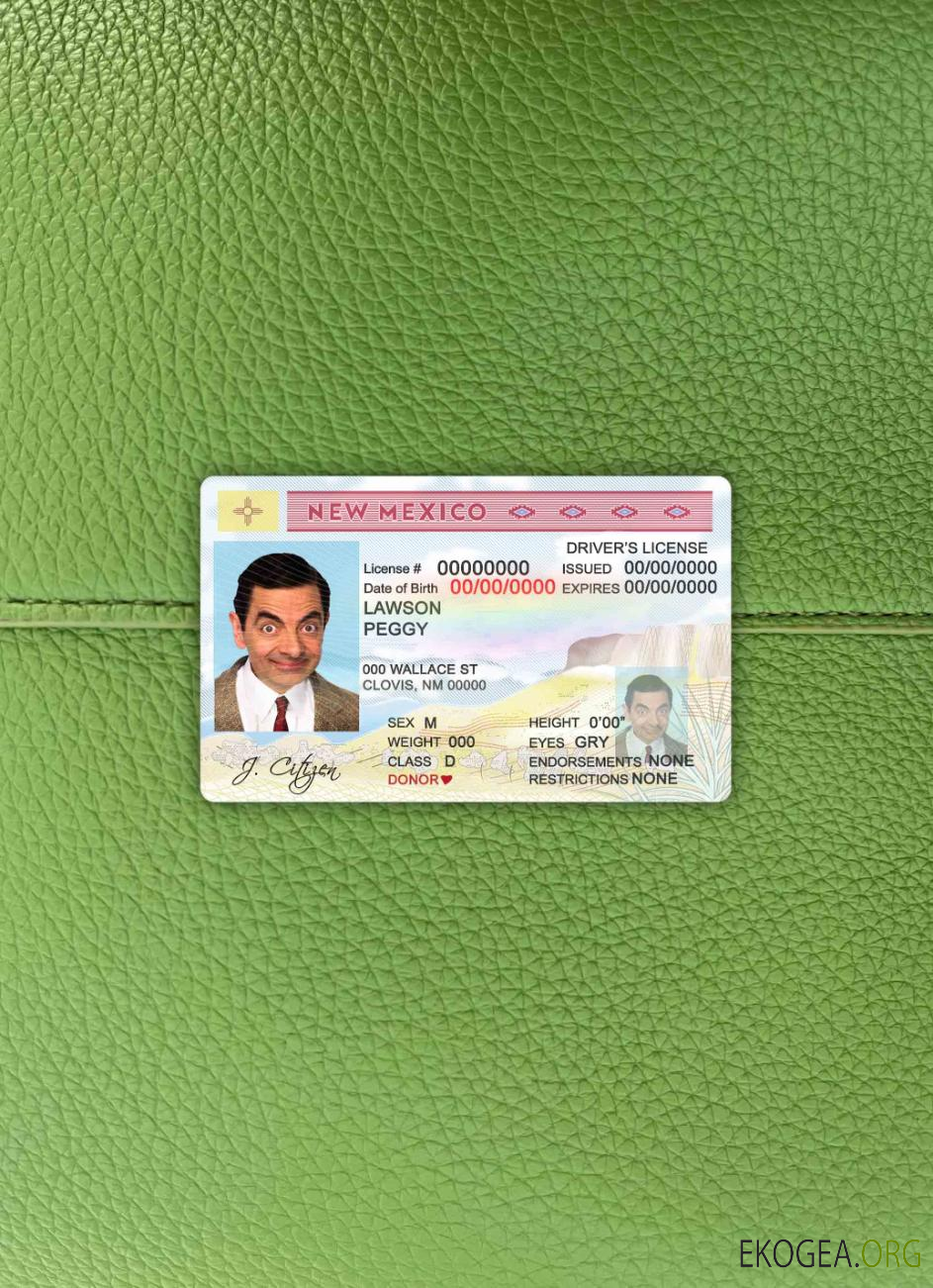 USA State New Mexico DL photolook AVANT